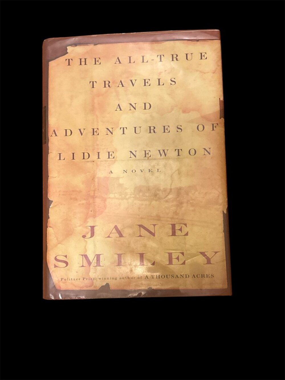 The All True Travels And Adventures Of Lidie Newton
